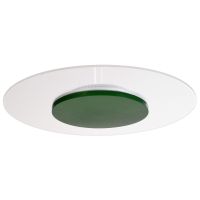 Šviestuvas v/t LED 24W 3000K 2560lm D-420mm H-46mm dimeriuojamas žalias ZANIAH - DEKO LIGHT