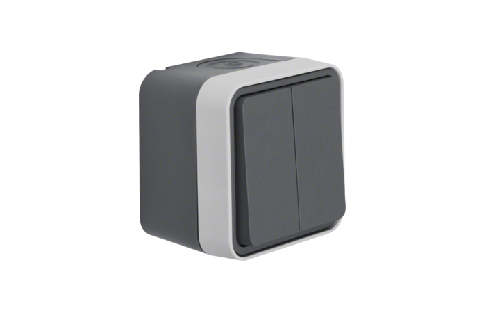 Jungiklis v/t dvigubas IP55 pilkos matinės spalvos 10A 250V W.1 - BERKER