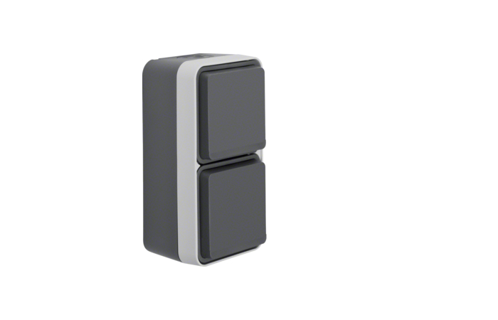 Lizdas v/t SCHUKO dvigubas vertikalus su dangteliu IP55 pilkos matinės spalvos 16A 250V W.1 - BERKER