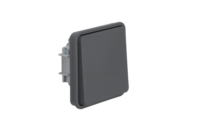 Mygtukas p/t viengubas IP55 pilkos matinės spalvos 10A 250V W.1 - BERKER