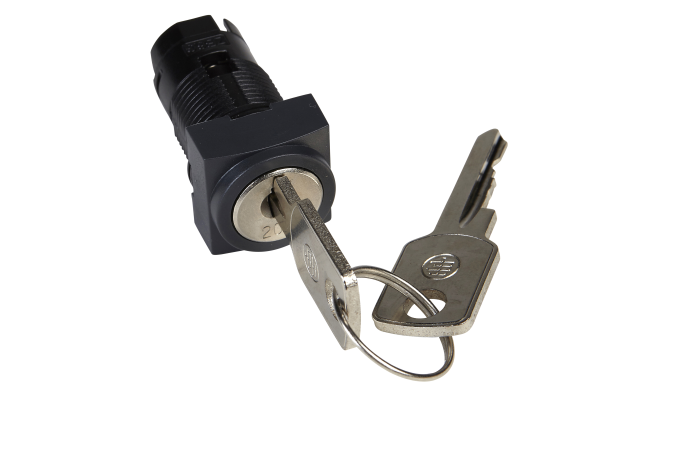 Perjungiklio galvutė, ZB6CGH, CONTROL & SIGNALLING, PUSH BUTTONS, PILOT LIGHTS & CONTROLS, DIA 16 PLASTIC MODULAR - SCHNEIDER ELECTRIC (pavadinimas tikslinamas)