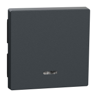 Klavišas viengubam jungikliui su pašvietimu antracito spalvos System M Merten - SCHNEIDER ELECTRIC