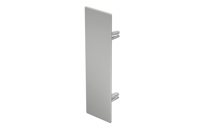 Galinis dangtelis 60x210mm Polivinilo chloridas šviesiai pilka RAL 7035 WDK HE60210LGR - OBO BETTERMANN (pavadinimas tikslinamas)