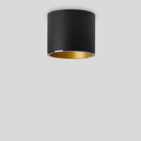 Šviestuvas v/t LED 19.5W IP20 3000K 1731lm D-180mm H-150mm dimeriuojamas juodos/žalvario matinės spalvos DALI - BEGA