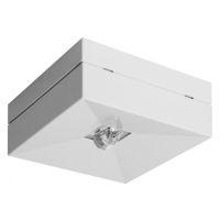 Šviestuvas v/t LED 1W IP41 6500K 180lm 132x132mm H-54mm su 3val. akumuliatoriumi M/NM Corridor S 3PLED C324 LER - NORTHCLIFFE